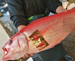 s-IMG_20180106_064715