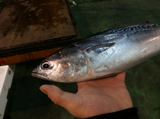 s-IMG_20180205_065731