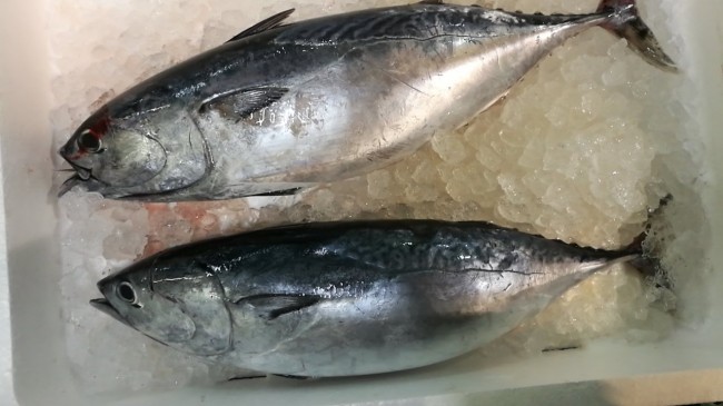 20180517_180517_0009