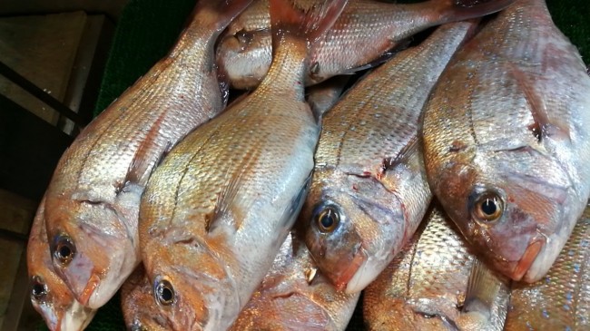 20180521_180521_0001