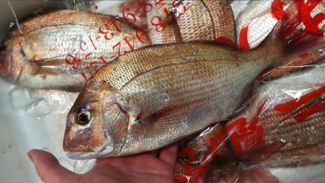 20180521_180521_0004