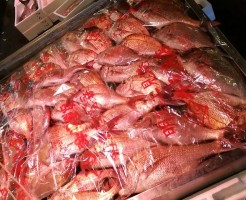 20180524_180524_0006