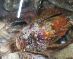 20180525_180525_0001