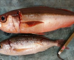 20180526_180526_0001