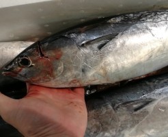 20180528_180528_0002