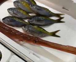 20180529_180529_0001