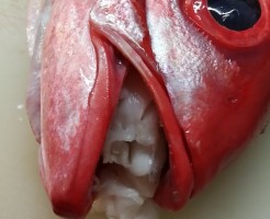 20180531_180531_0004