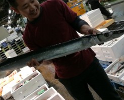 20180601_180601_0006