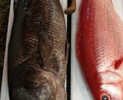 20180602_180602_0005