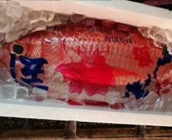 20180604_180604_0003