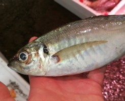 20180607_180607_0003