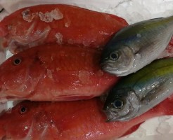 20180607_180608_0004