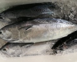 20180609_180609_0003