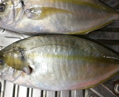 20180611_180611_0006