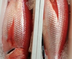 20180612_180612_0004