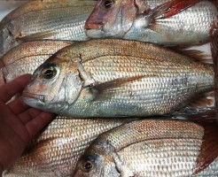 20180614_180614_0001