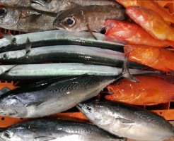 20180616_180616_0004