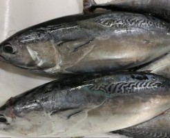 20180618_180621_0004