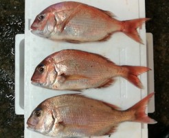 20180625_180625_0003