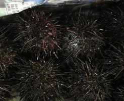 20180626 #1_180628_0004