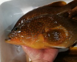 20180629_180629_0002