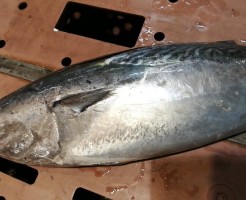 20180629_180703_0006