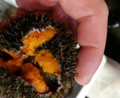 20180705_180705_0001