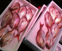 20180710_180710_0009