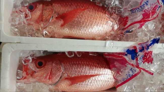 極上ハマダイ（おなが）