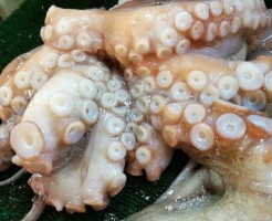 淡路由良の蛸が最高！