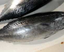 timeline_20180706_133021