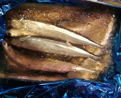 サンマの最高峰