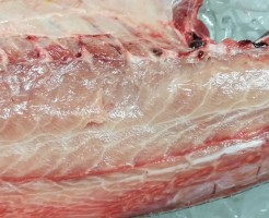 噴火湾天然秋ぶり