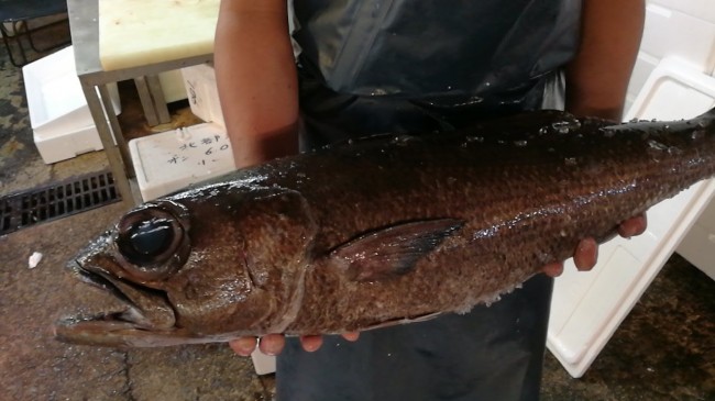 鹿児島極上黒むつ