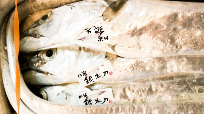 20181004_181016_0027