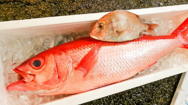 20181004_181016_0028