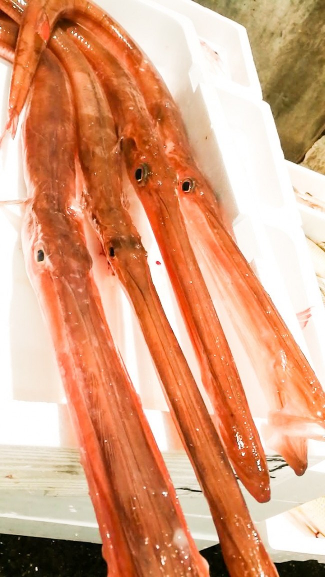 20181004_181016_0029