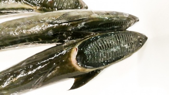 20181004_181016_0031