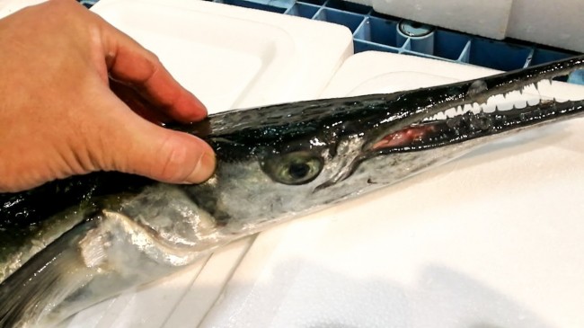 20181004_181016_0032