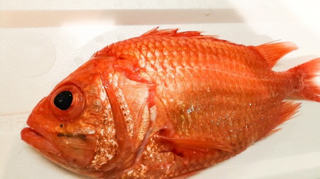 20181004_181016_0033