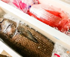 20181004_181019_0041