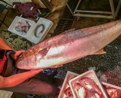 20181004_181023_0046