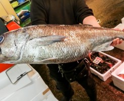 20181004_181025_0053