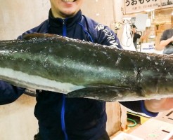 20181004_181026_0060