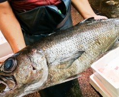 20181004_181027_0062