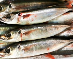 20181004_181029_0065