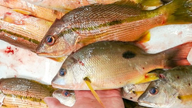 20181004_181030_0066