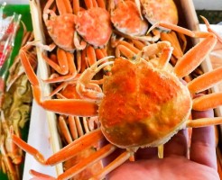 20180921_181108_0014