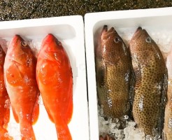 20181004_181105_0079