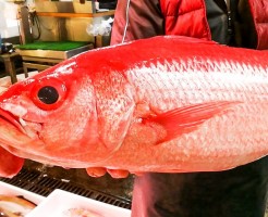 20181004_181106_0084